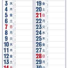 IC229